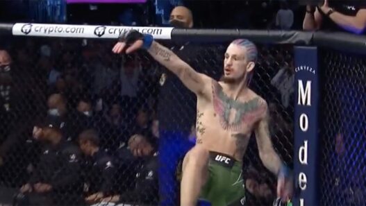 Sean O’Malley s’offre la victoire par TKO au 1er round