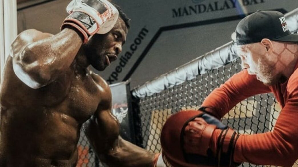 Francis Ngannou Boxe