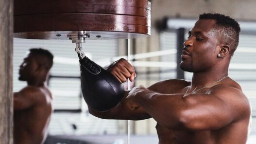 Francis Ngannou Tyson Fury