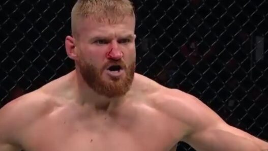 Jan Blachowicz Redevenir Champion