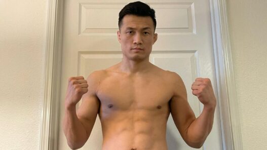 Korean Zombie Retour Blessure