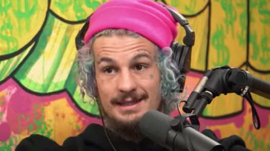 Sean O'Malley Aljamain Sterling Petr Yan