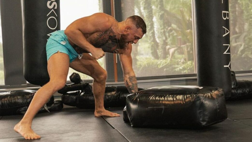 Conor McGregror, le meilleur ground and pound du MMA