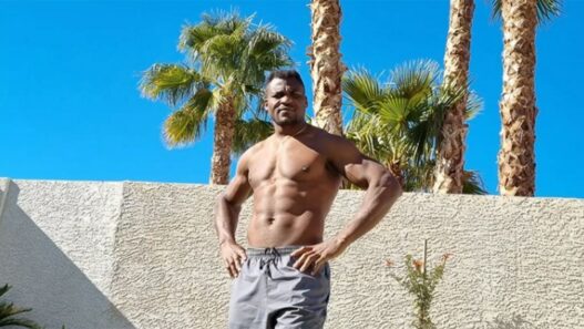 Dana White, devenu anti Francis Ngannou après l'UFC 220