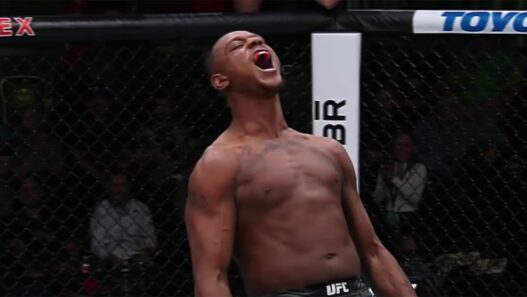 Jamahal Hill r&ecirc;ve d&rsquo;un duel avec Jiri Prochazka