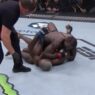 Jared Cannonier Derek Brunson TKO UFC 271