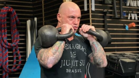 UFC - Joe Rogan &eacute;voque une cat&eacute;gorie super heavyweight
