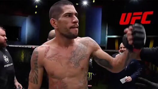 Dana White encense alex pereira