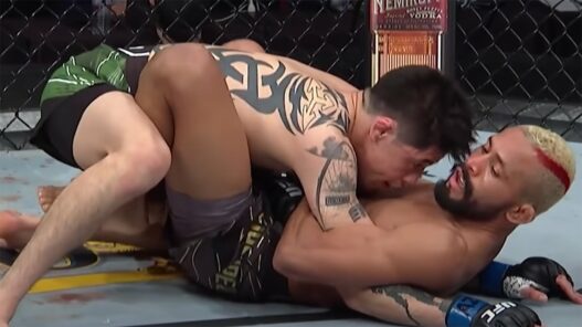 Deiveson Figueiredo vs Brandon Moreno 4