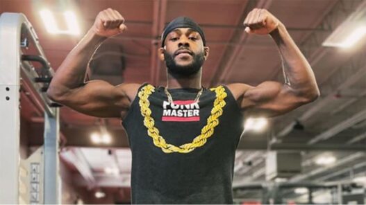 aljamain sterling corner petr yan