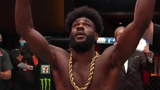 aljamain sterling gagner dominer petr yan