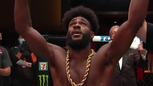 aljamain sterling gagner dominer petr yan