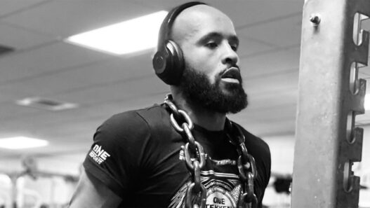 demetrious johnson la puissance de rodtang