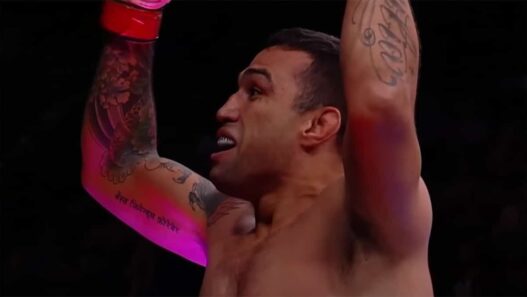 fabricio werdum retraite