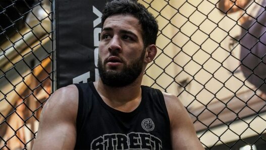 imavov gastelum annulé