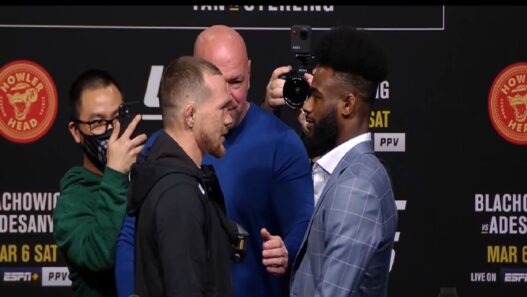 Aljamain Sterling vs Petr Yan