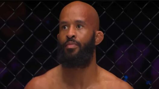 Demetrious-Johnson