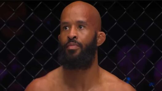 Demetrious-Johnson