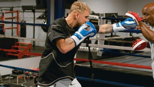 jake paul fury anderson silva