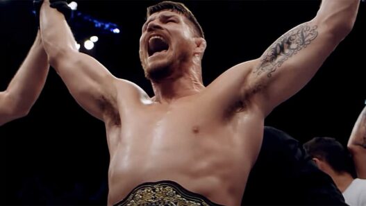 jake paul provoque bisping