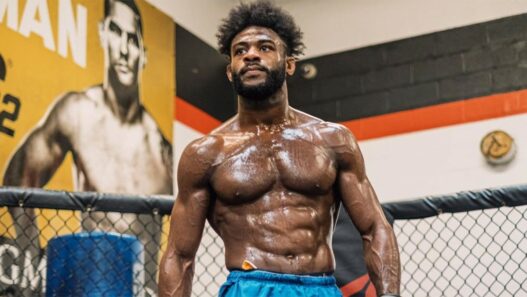 sterling défaite petr yan