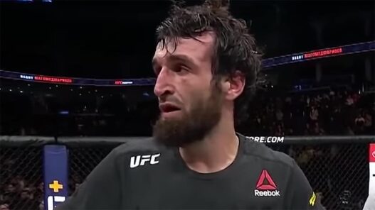 zabit ne reviendra pas