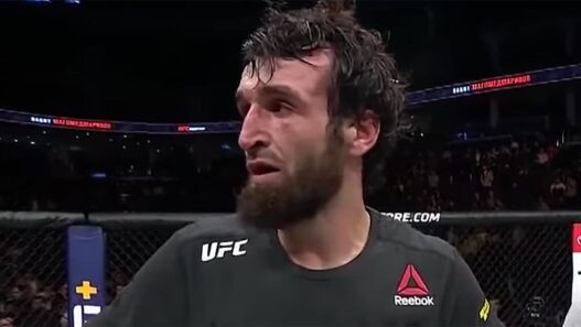 zabit ne reviendra pas