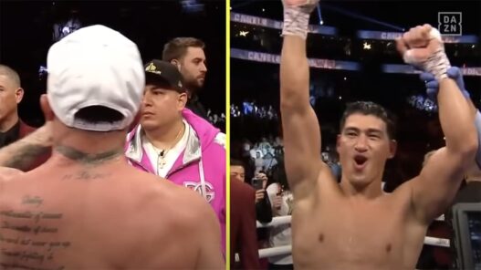 Bivol canelo