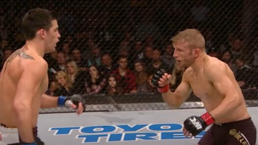 Cruz-Dillashaw