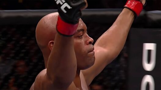 anderson silva n'épargne pas l'ufc