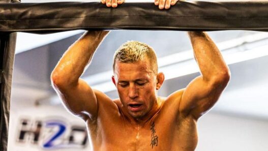 georges st-pierre strat&eacute;gie usman