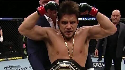 henry cejudo à aljamain sterling trois rounds