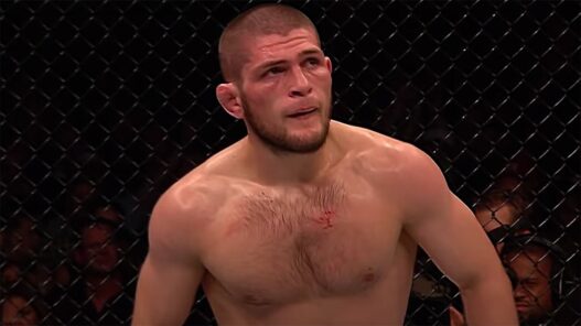 khabib comparaisons charles oliveira