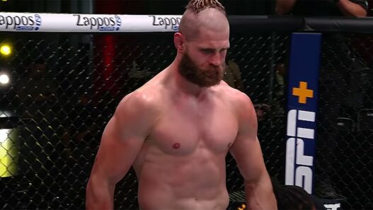 prochazka finir teixeira