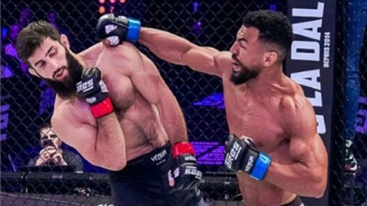 Abdouraguimov-Amoussou