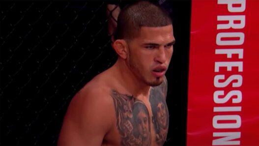 PFL plus compliqu&eacute; UFC