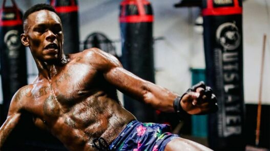 adesanya vs cannonier selon whittaker