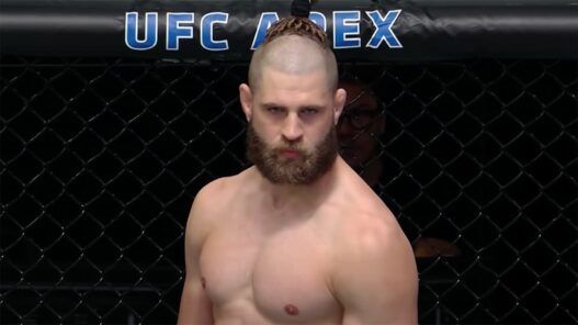 aljamain doute jiri prochazka