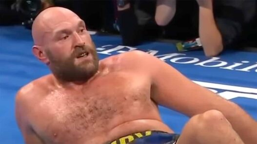 Fury retrait&eacute; probl&egrave;mes de sant&eacute;