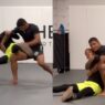 Gilbert-burns-prank-takedown-ufc-mma