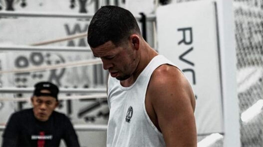 nate diaz ufc otage