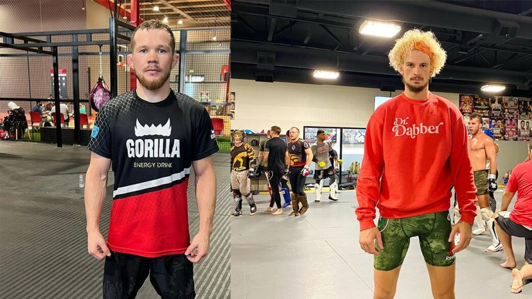 yan vs o'malley ufc 280