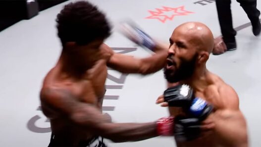 demetrious johnson revanche