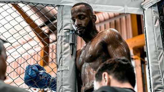 ufc 300 leon edwards