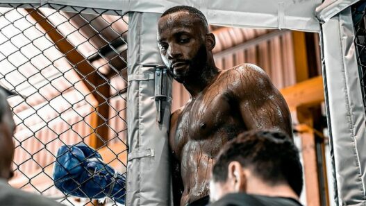 ufc 300 leon edwards