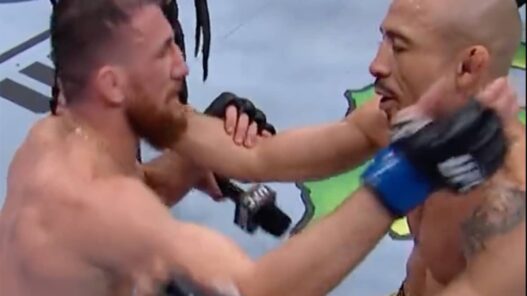 merab dvalishvili aldo