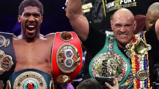 fury d&eacute;fi joshua