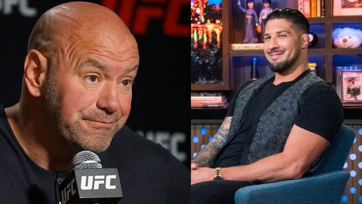 schaub dana white