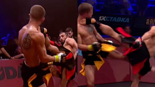 KO d&eacute;vastateur head kick MMA