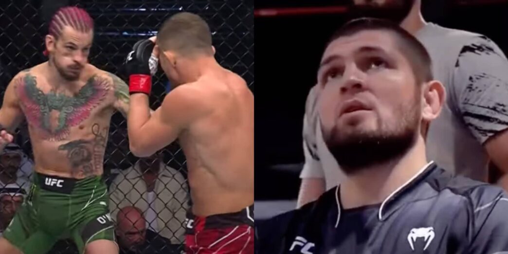 khabib choqué yan o'malley